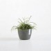 Circular & Co Eco Recycled Plant Pot Stockholm