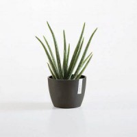 Circular & Co Eco Recycled Plant Pot Stockholm